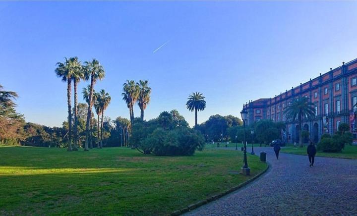 Chez Bois - Suite Apartment Capodimonte 那不勒斯 外观 照片